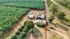 8 Vicary Road, Mareeba, Qld 4880-Image