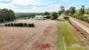 8 Vicary Road, Mareeba, Qld 4880-Image