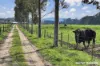 80 Suckling Road, Kernot, Vic 3979-Image