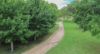 80 Tooloom Street, Legume NSW 2476-Image