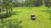 80 Tooloom Street, Legume NSW 2476-Image