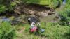 80 Tooloom Street, Legume NSW 2476-Image