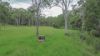 80 Tooloom Street, Legume NSW 2476-Image