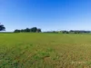 804 Upper Natone Road, Upper Natone, Tas 7321-Image