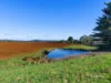 804 Upper Natone Road, Upper Natone, Tas 7321-Image