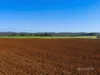 804 Upper Natone Road, Upper Natone, Tas 7321-Image