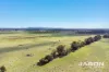 805 Wildwood Road, Wildwood, Vic 3429-Image
