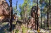 8105 Newell Highway, Dubbo, NSW 2830-Image