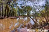 8105 Newell Highway, Dubbo, NSW 2830-Image