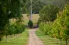 813 Hannam Vale Road, Stewarts River, NSW 2443-Image