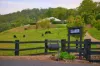 813 Hannam Vale Road, Stewarts River, NSW 2443-Image