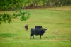 813 Hannam Vale Road, Stewarts River, NSW 2443-Image