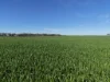 8158 Spencer Highway, Alford, SA 5555-Image