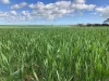 8158 Spencer Highway, Alford, SA 5555-Image