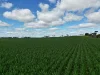8158 Spencer Highway, Alford, SA 5555-Image