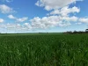 8158 Spencer Highway, Alford, SA 5555-Image