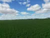 8158 Spencer Highway, Alford, SA 5555-Image