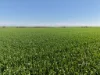 8158 Spencer Highway, Alford, SA 5555-Image