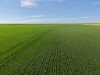 8158 Spencer Highway, Alford, SA 5555-Image