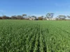 8158 Spencer Highway, Alford, SA 5555-Image