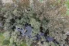 82 Dorrington Road, Muradup, WA 6394-Image