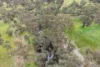 82 Dorrington Road, Muradup, WA 6394-Image