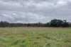 82 Dorrington Road, Muradup, WA 6394-Image