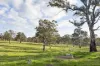82, Ironstone Range Road, Nairne, SA 5252-Image