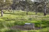 82, Ironstone Range Road, Nairne, SA 5252-Image