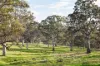 82, Ironstone Range Road, Nairne, SA 5252-Image