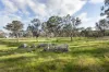 82, Ironstone Range Road, Nairne, SA 5252-Image