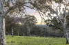 82, Ironstone Range Road, Nairne, SA 5252-Image