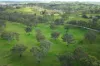 82, Ironstone Range Road, Nairne, SA 5252-Image