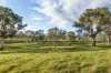 82, Ironstone Range Road, Nairne, SA 5252-Image