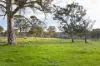 82, Ironstone Range Road, Nairne, SA 5252-Image