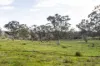 82, Ironstone Range Road, Nairne, SA 5252-Image