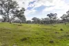 82, Ironstone Range Road, Nairne, SA 5252-Image