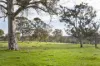 82, Ironstone Range Road, Nairne, SA 5252-Image