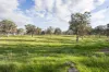 82, Ironstone Range Road, Nairne, SA 5252-Image