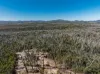 8203 Nerriga Road, Tomboye, NSW 2622-Image