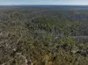 8203 Nerriga Road, Tomboye, NSW 2622-Image