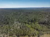 8203 Nerriga Road, Tomboye, NSW 2622-Image