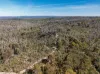 8203 Nerriga Road, Tomboye, NSW 2622-Image