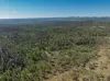 8203 Nerriga Road, Tomboye, NSW 2622-Image
