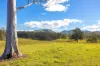 823 Nowendoc Road, Mount George NSW 2424-Image