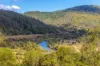 823 Nowendoc Road, Mount George NSW 2424-Image