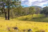 823 Nowendoc Road, Mount George NSW 2424-Image
