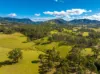 823 Nowendoc Road, Mount George NSW 2424-Image