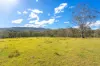 823 Nowendoc Road, Mount George NSW 2424-Image