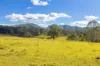 823 Nowendoc Road, Mount George NSW 2424-Image